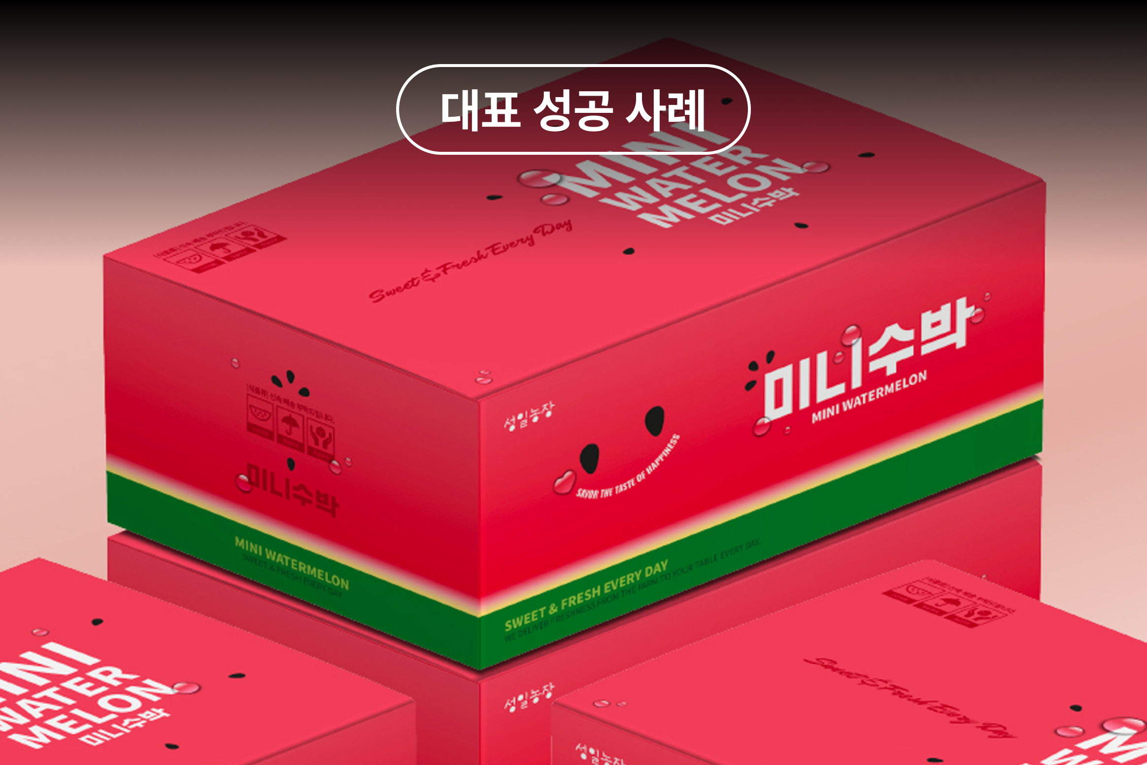 대표 성공 사례 미니수박