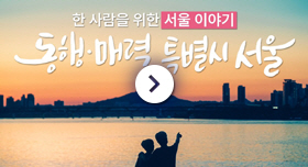 한 사람을 위한 서울이야기